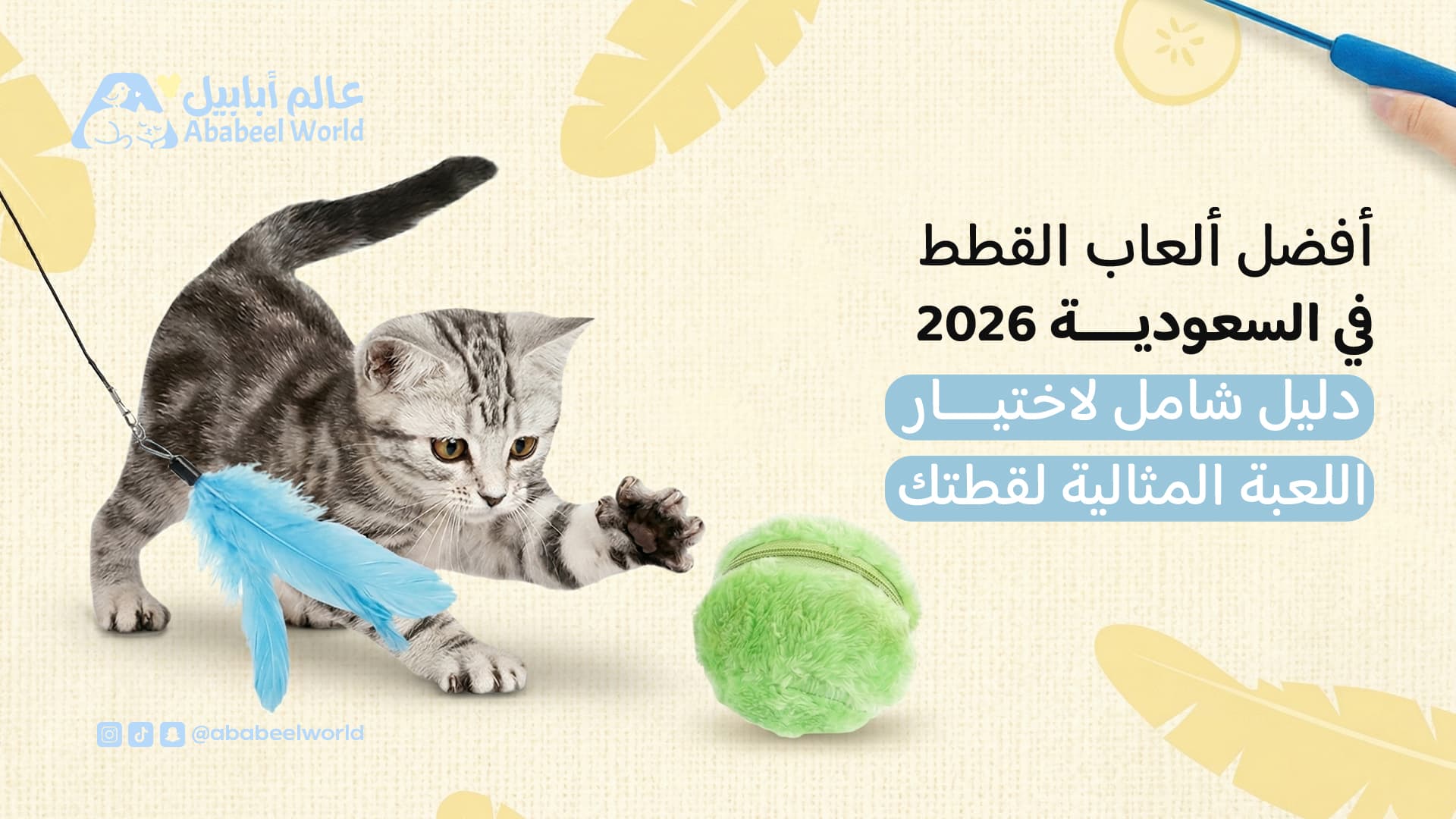Best Cat Toys 2026 | A Complete Guide to Choosing the Right Toy for Your Cat