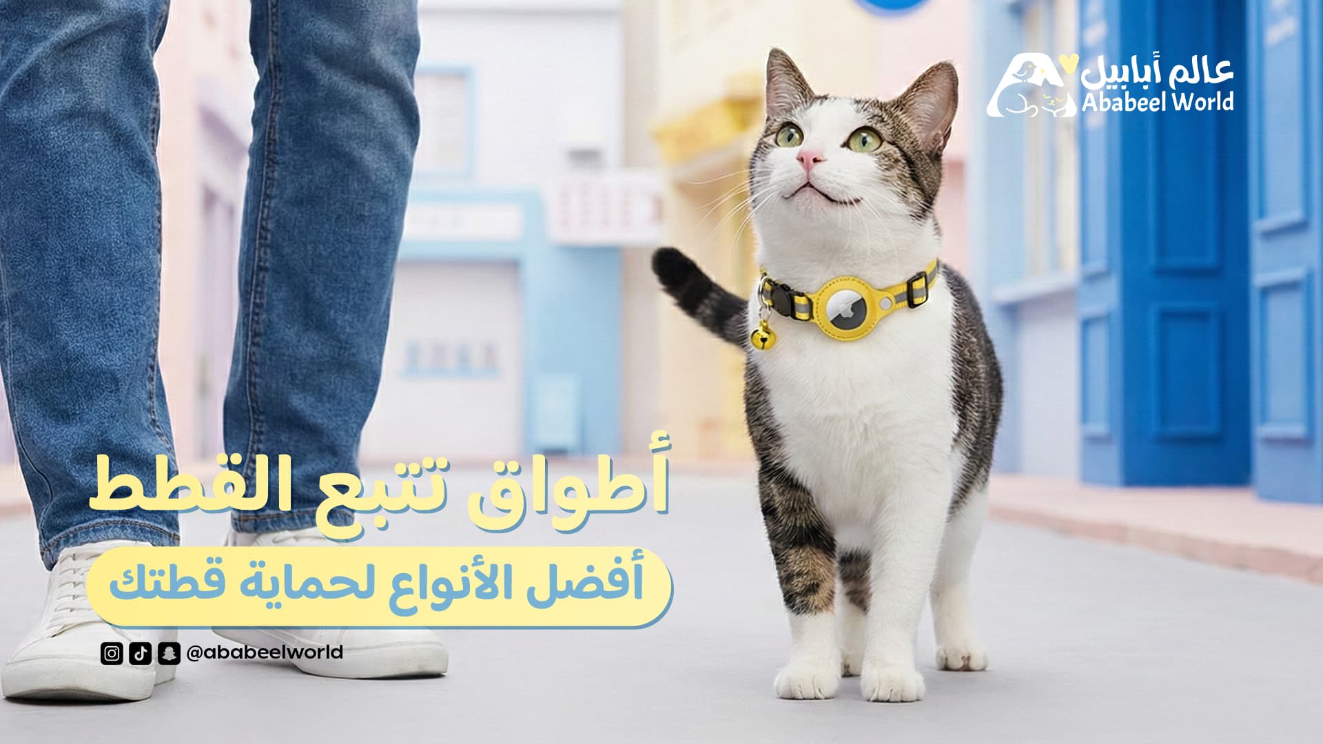Cat Tracking Collars: The Best Types to Protect Your Cat — A Comprehensive Professional Guide (2026)