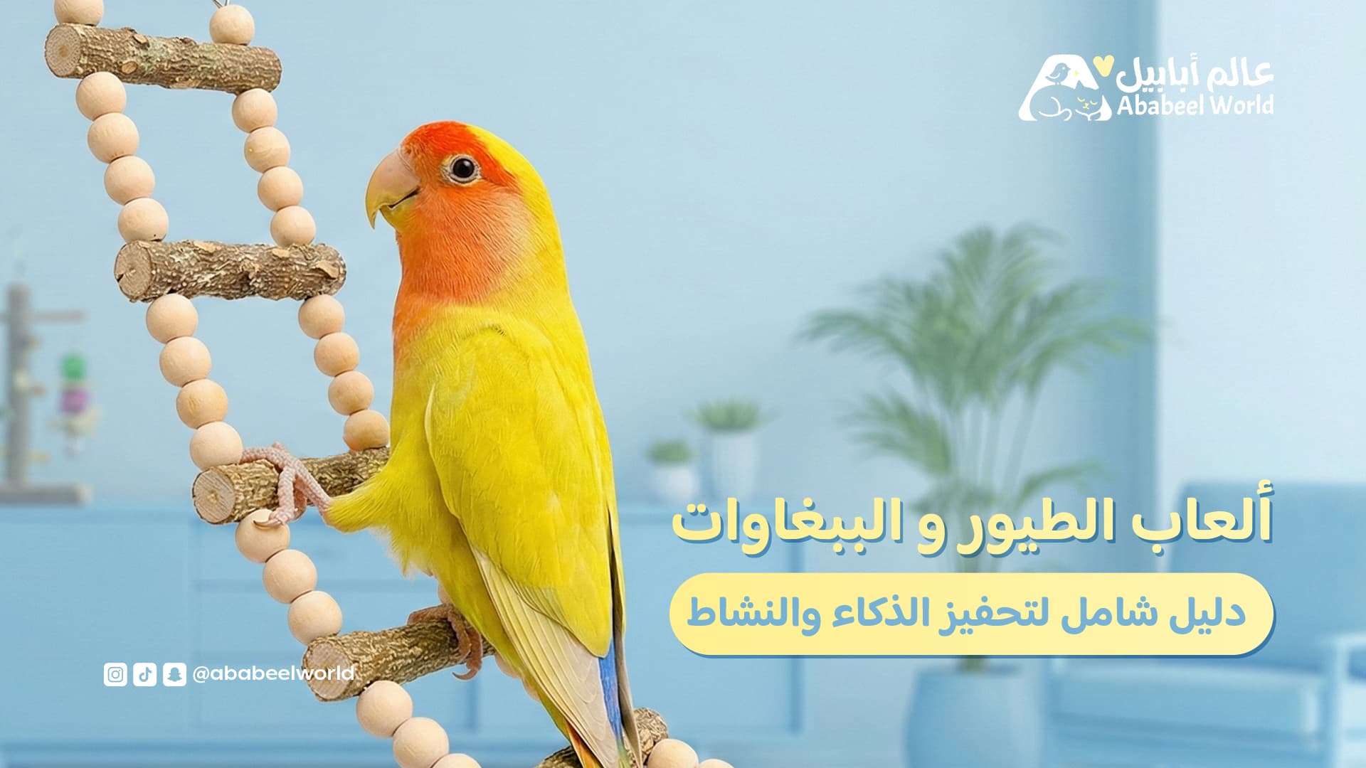 Bird and Parrot Toys: A Comprehensive Guide to Stimulating Daily Intelligence and Activity