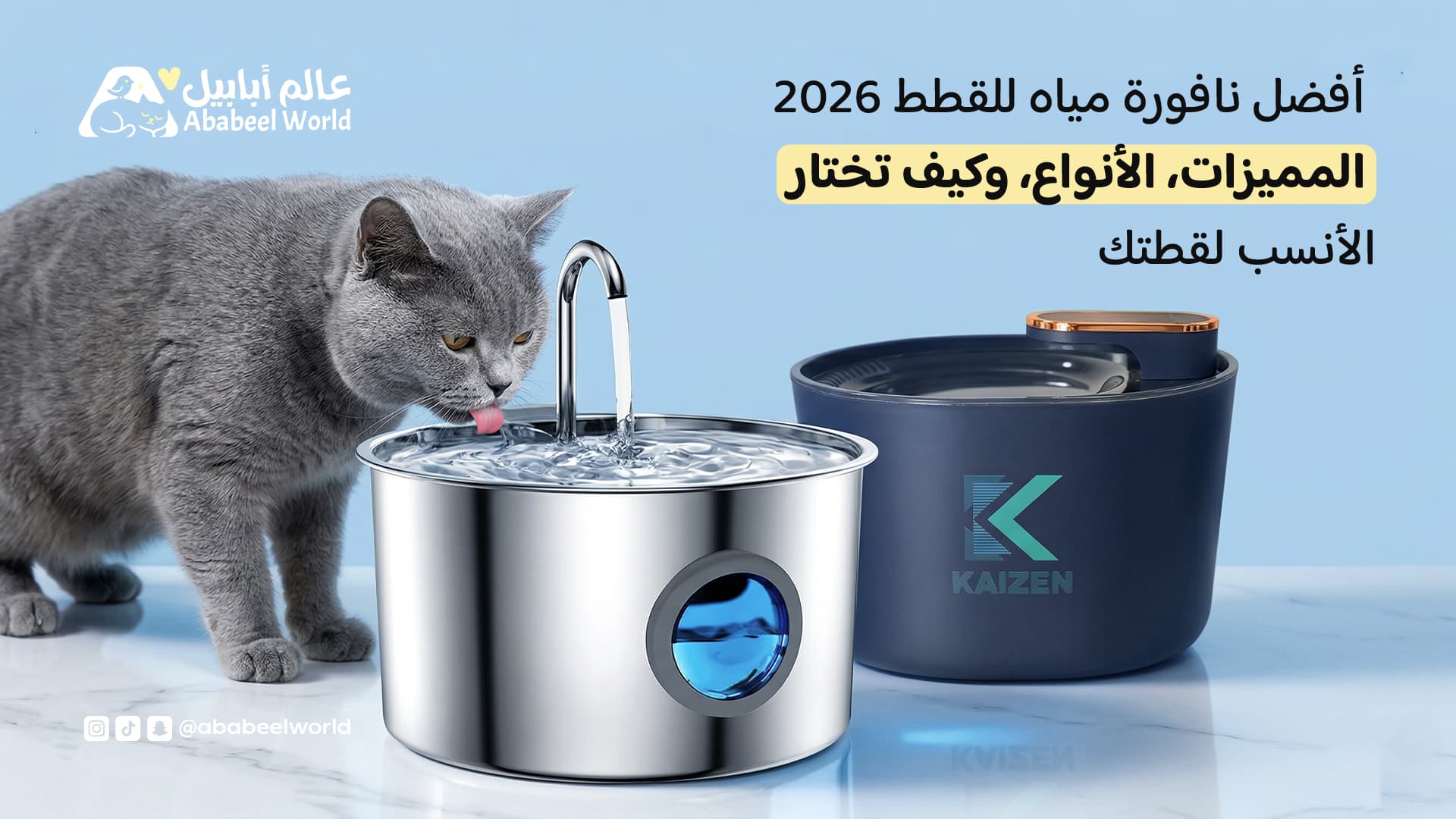 Best Cat Water Fountain 2026: Features, Types, and How to Choose the Right One for Your Cat