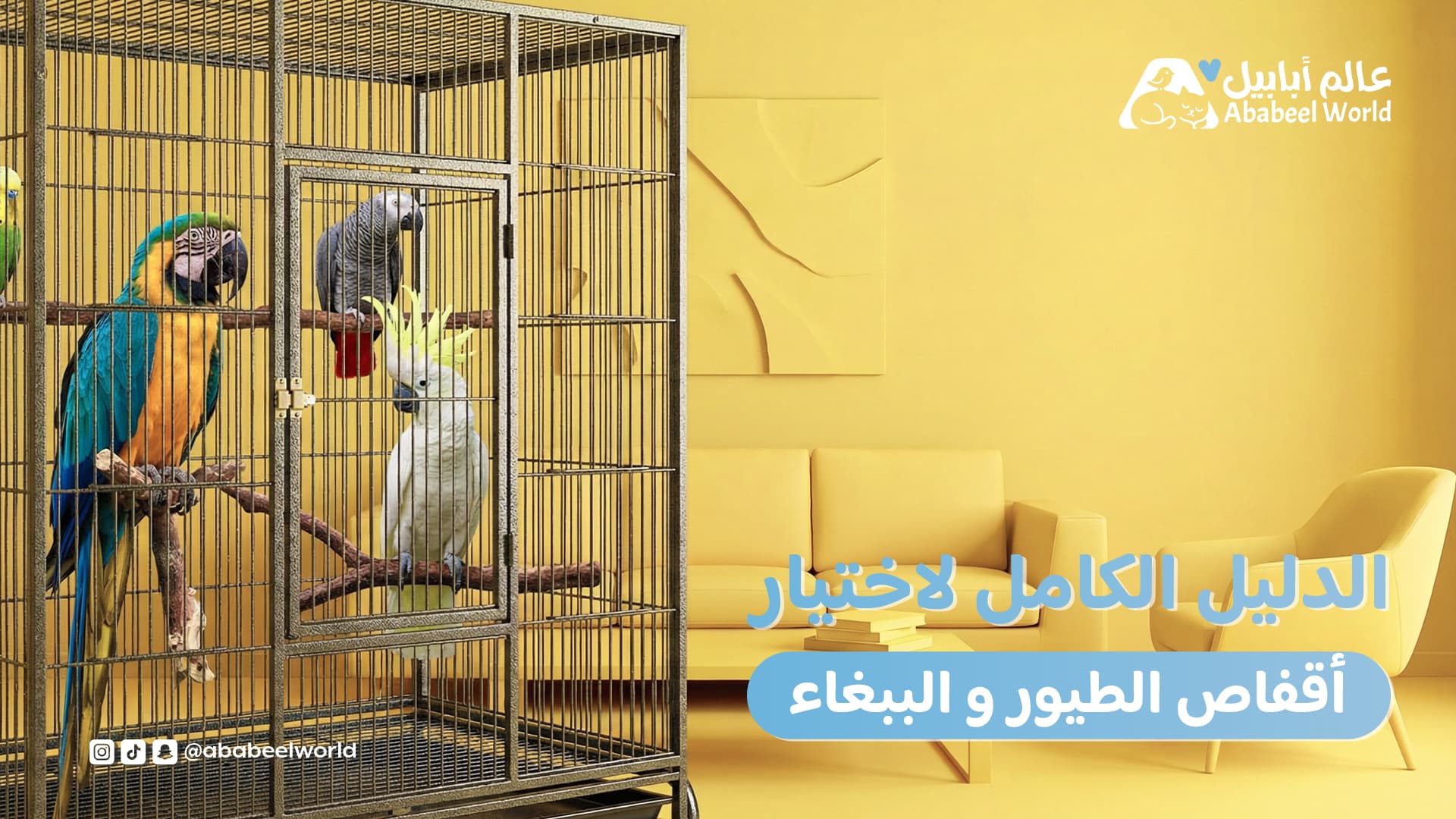 الدليل الكامل لاختيار أقفاص الطيور والببغاء فى المنزل 2026